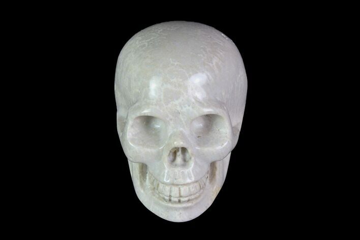 Realistic, Polished Fossil Coral Skull #116572
